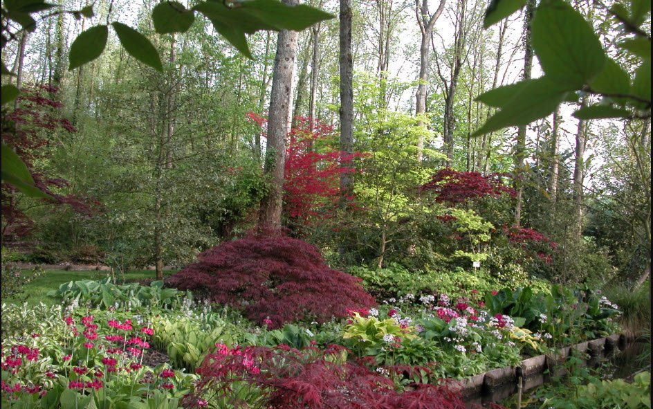 Arboretum des prés-des-culands, Meung-sur-Loire, France, France